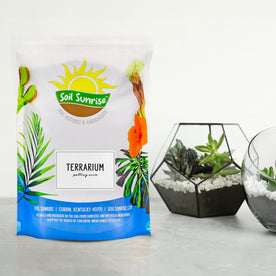 Terrarium Potting Soil Mix (8 Quarts), w/Blended Filtering Charcoal Custom Made for Terrariums
