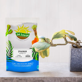 Sphagnum Moss Potting Mix (1 Quart); for Carnivorous Plants: Blend of Dried Moss with Perlite