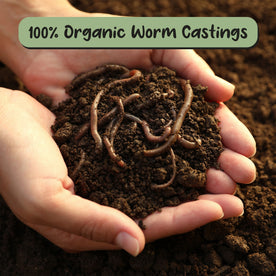 Premium Organic Worm Castings (8 Quarts); 8LB All Natural Soil Additive, Soil Builder, and Fertilizer