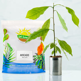 Avocado Tree Potting Soil Mix (12 Quarts), for Germinating, Growing and Repotting Avocado Plants