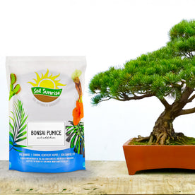 Horticultural Bonsai Pumice Soil Additive (4 Quarts), 7LB Ideal Substrate for Bonsai Trees, Cactus and Succulents