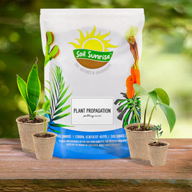 Plant Propagation Potting Mix (8 Quarts); Ideal Starter Mix for Rooting Plant Cuttings