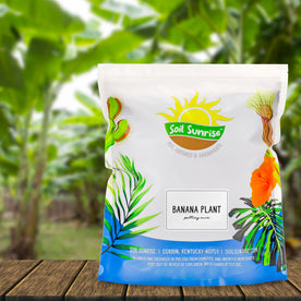 Banana Tree Potting Soil Mix (12 Quarts), Hand Blended Mixture for Banana Plants