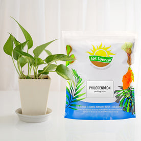 Philodendron Plant Potting Soil Mix (8 Quarts), Special Blend for Heart Shape Philodendron Plants Et Al.