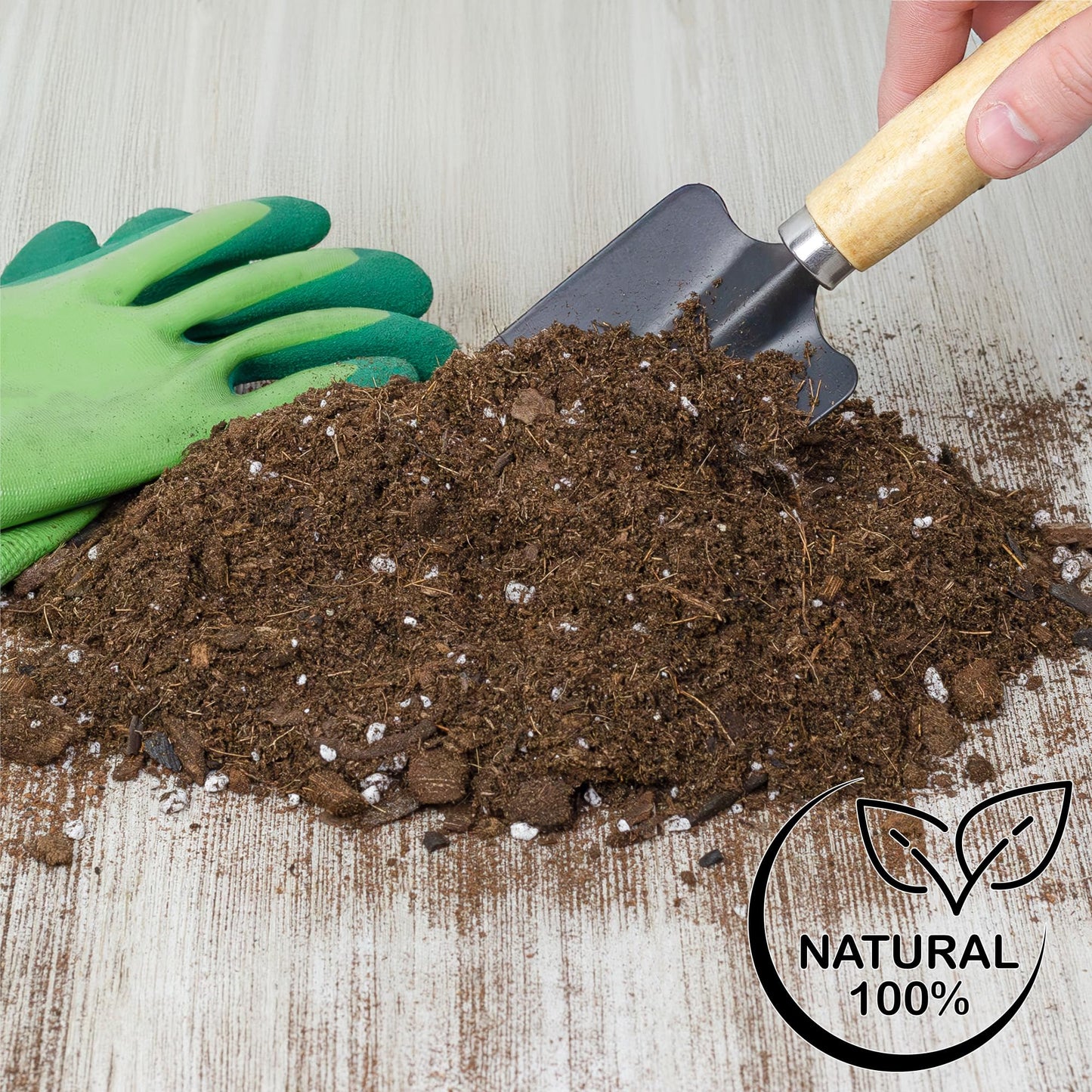 Monstera Houseplant Potting Soil Mix (8 Quarts), Custom Blend for Growing and Repotting
