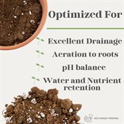 Aloe Vera Potting Soil Mix (2 Quarts) - SSKIT161