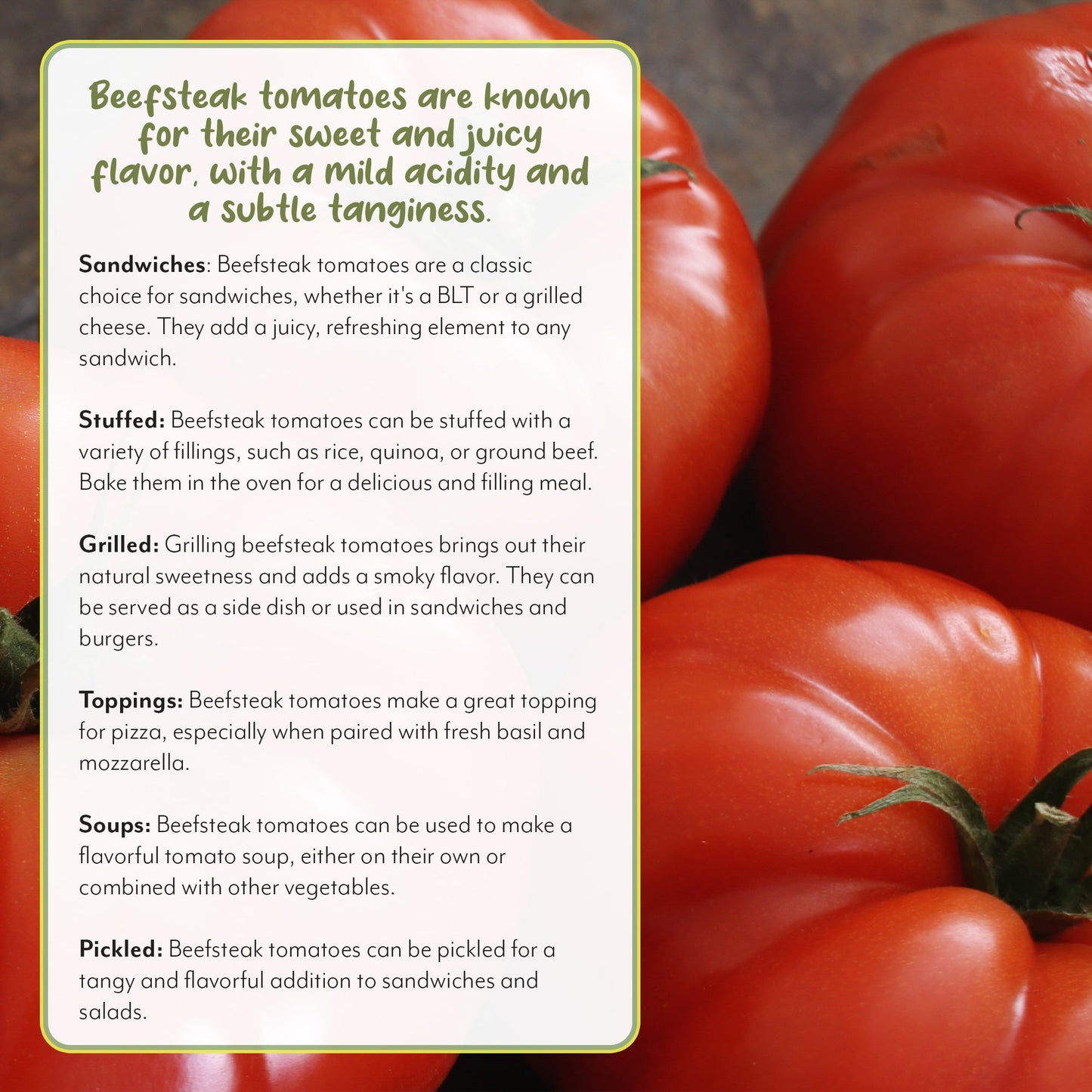 Live Beefsteak Tomato Plants (4-Pack)