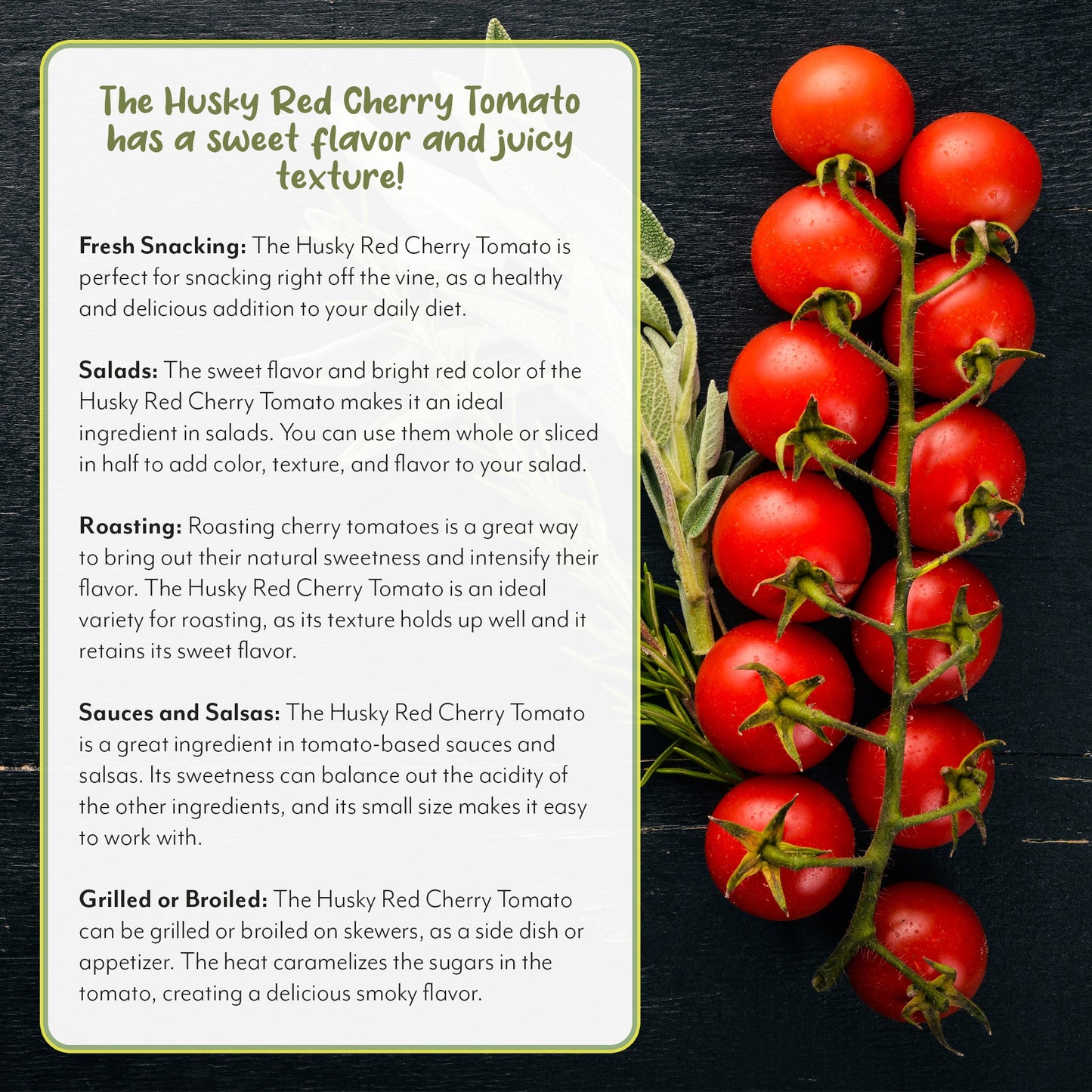 Supersweet 100 Cherry Tomato Live Plants (4-Pack) - SSKIT250