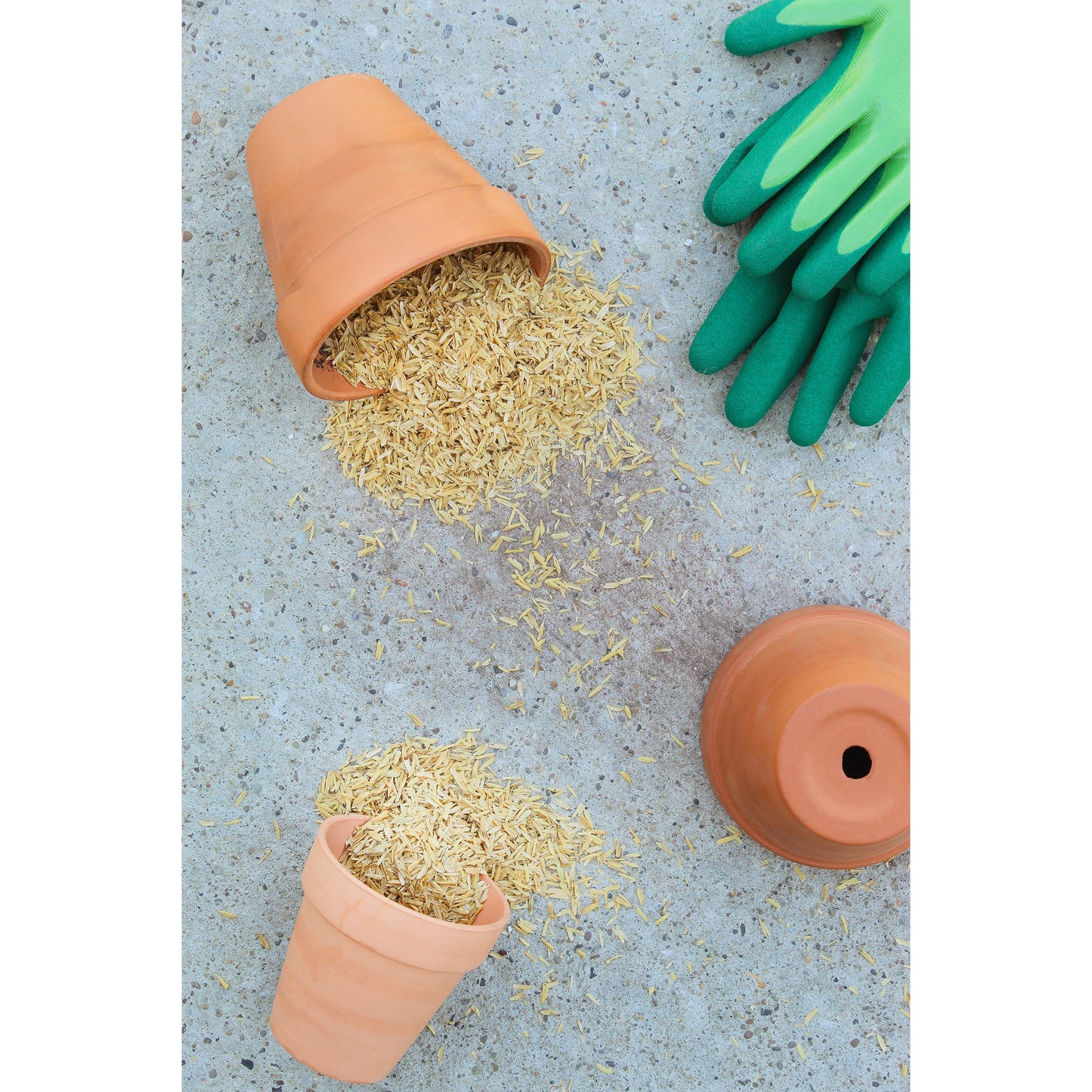 Horticultural Grade Rice Hulls (1 Quart) - SSKIT120