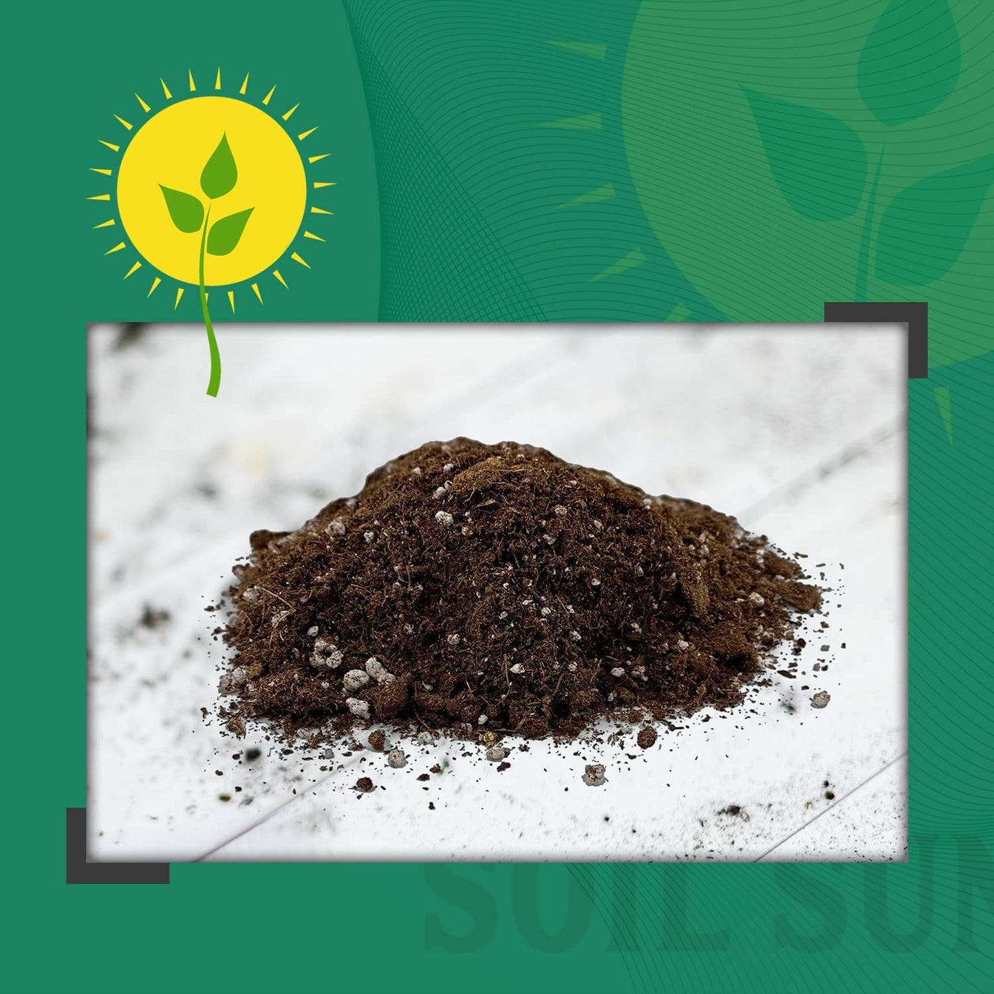 Lucky Bamboo Plant Potting Mix (2 Quarts) - SSKIT130