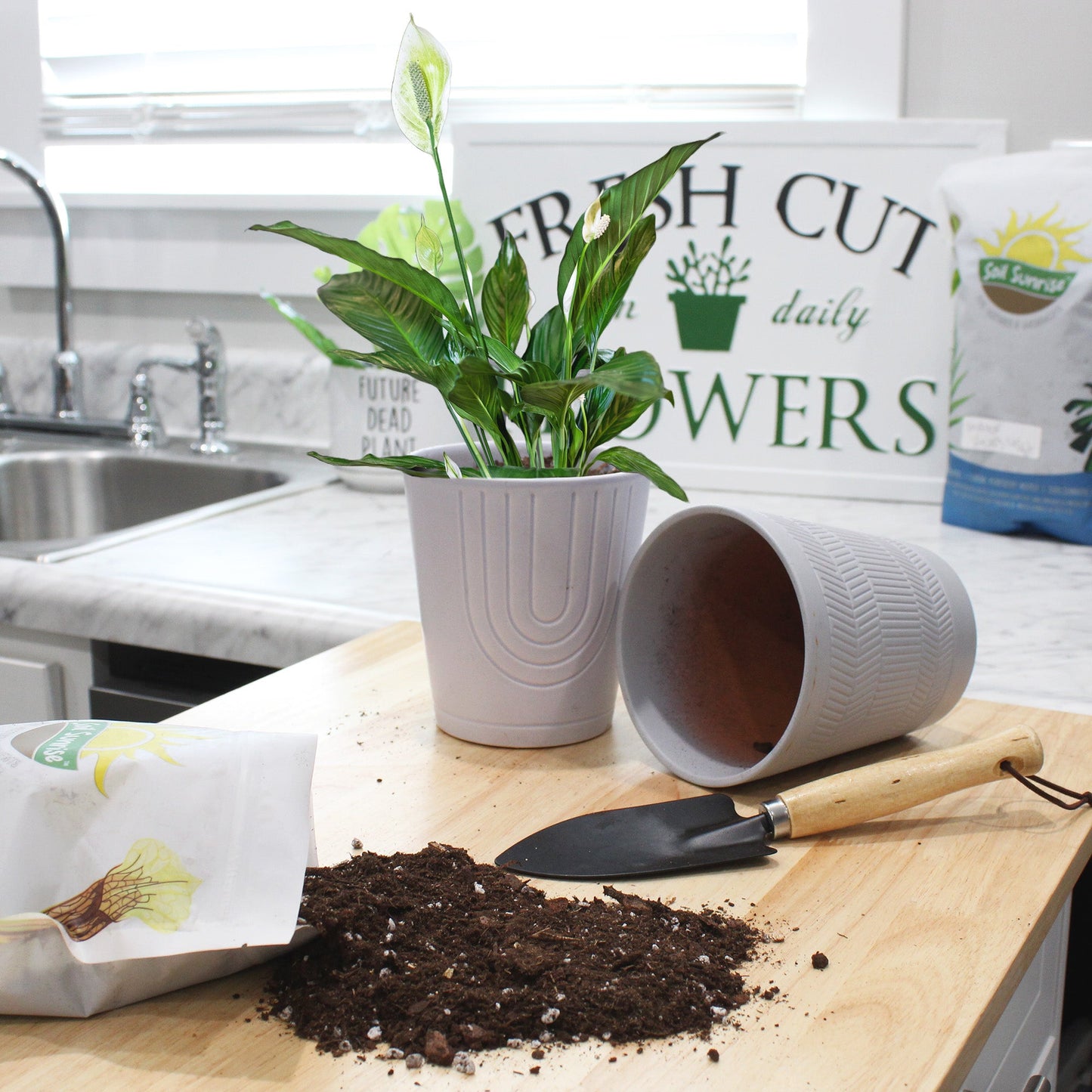 Peace Lily Potting Soil Mix (2 Quarts) - SSKIT126