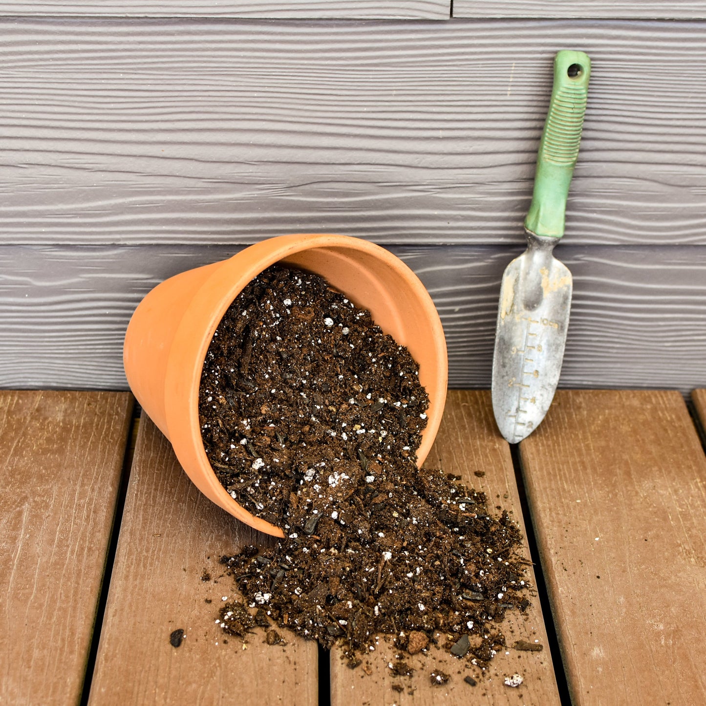 Lemon Lime Prayer Plant Potting Mix (4 Quarts) - SSKIT064