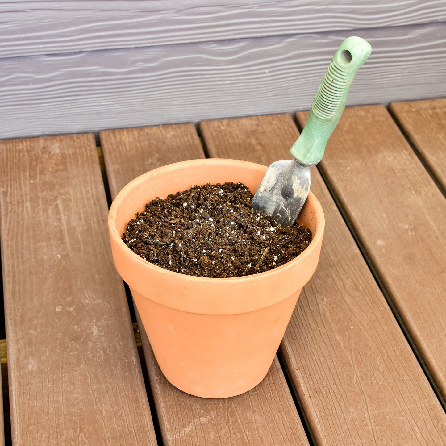 Lemon Lime Prayer Plant Potting Mix (4 Quarts) - SSKIT064