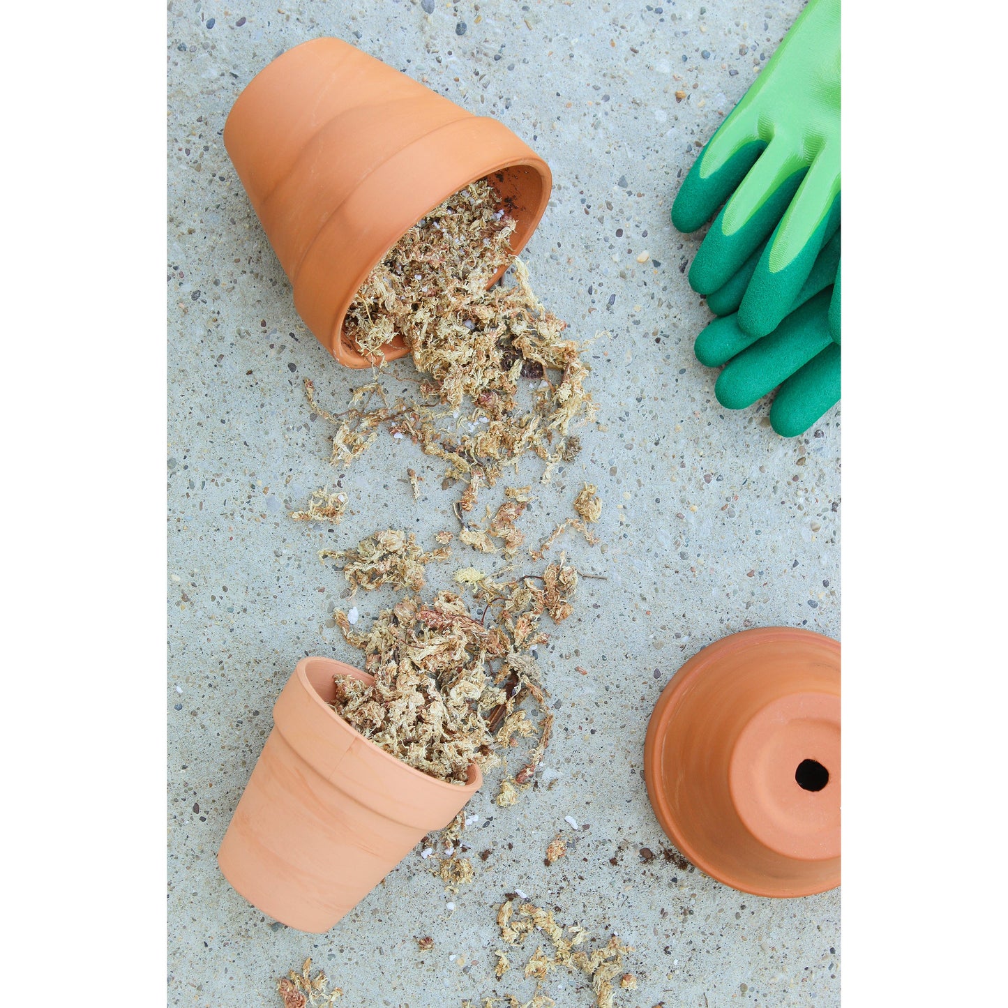 Sphagnum Moss Potting Mix (1 Quart) - SSKIT134