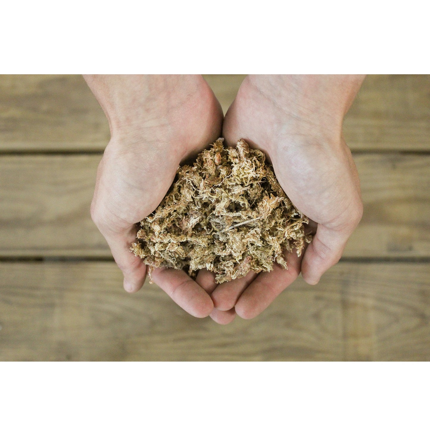 Sphagnum Moss Potting Mix (1 Quart) - SSKIT134