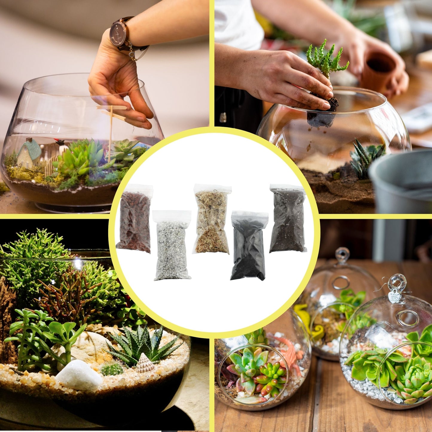 Succulent Terrarium Planter Kit - SSKIT132