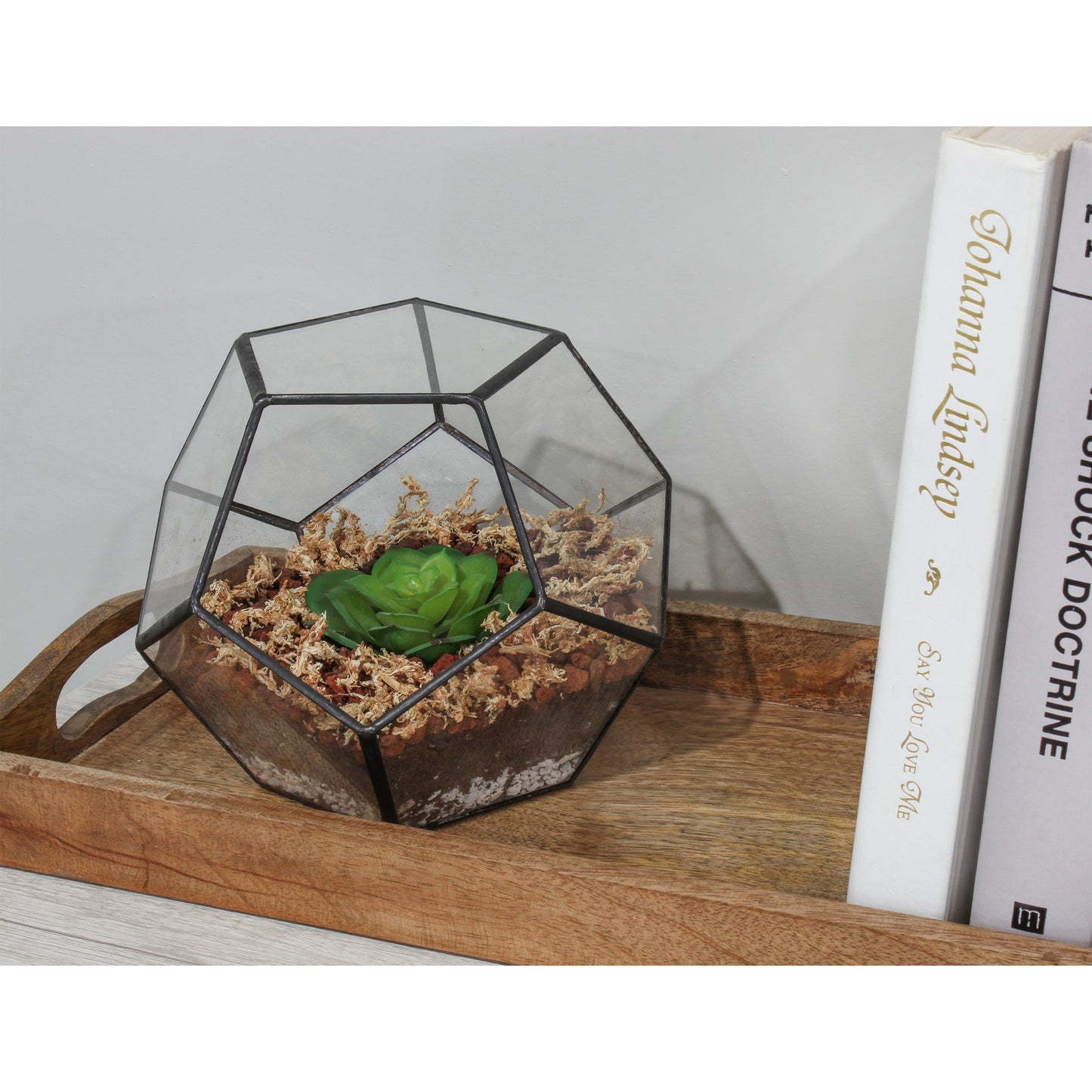 Succulent Terrarium Planter Kit - SSKIT132