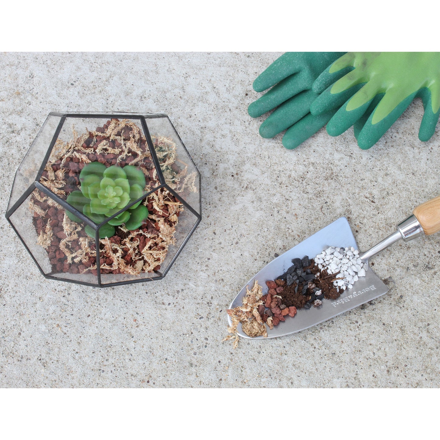 Succulent Terrarium Planter Kit - SSKIT132
