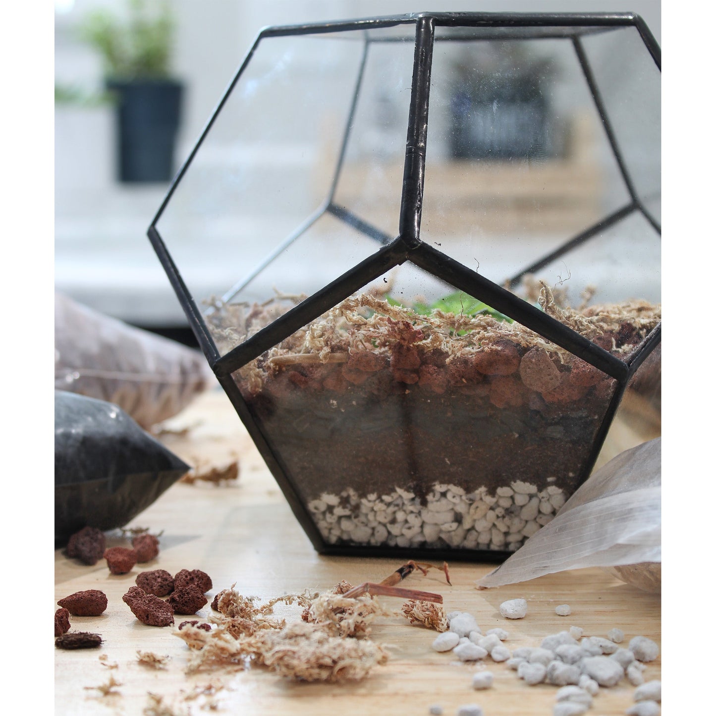 Succulent Terrarium Planter Kit - SSKIT132