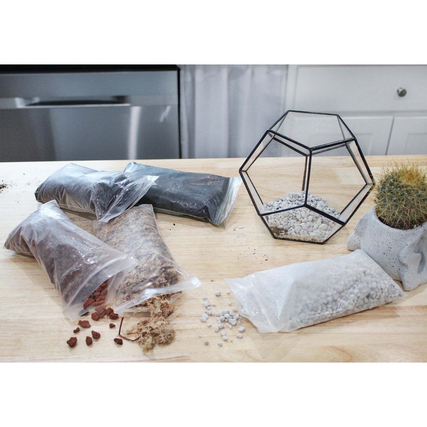 Succulent Terrarium Planter Kit - SSKIT132
