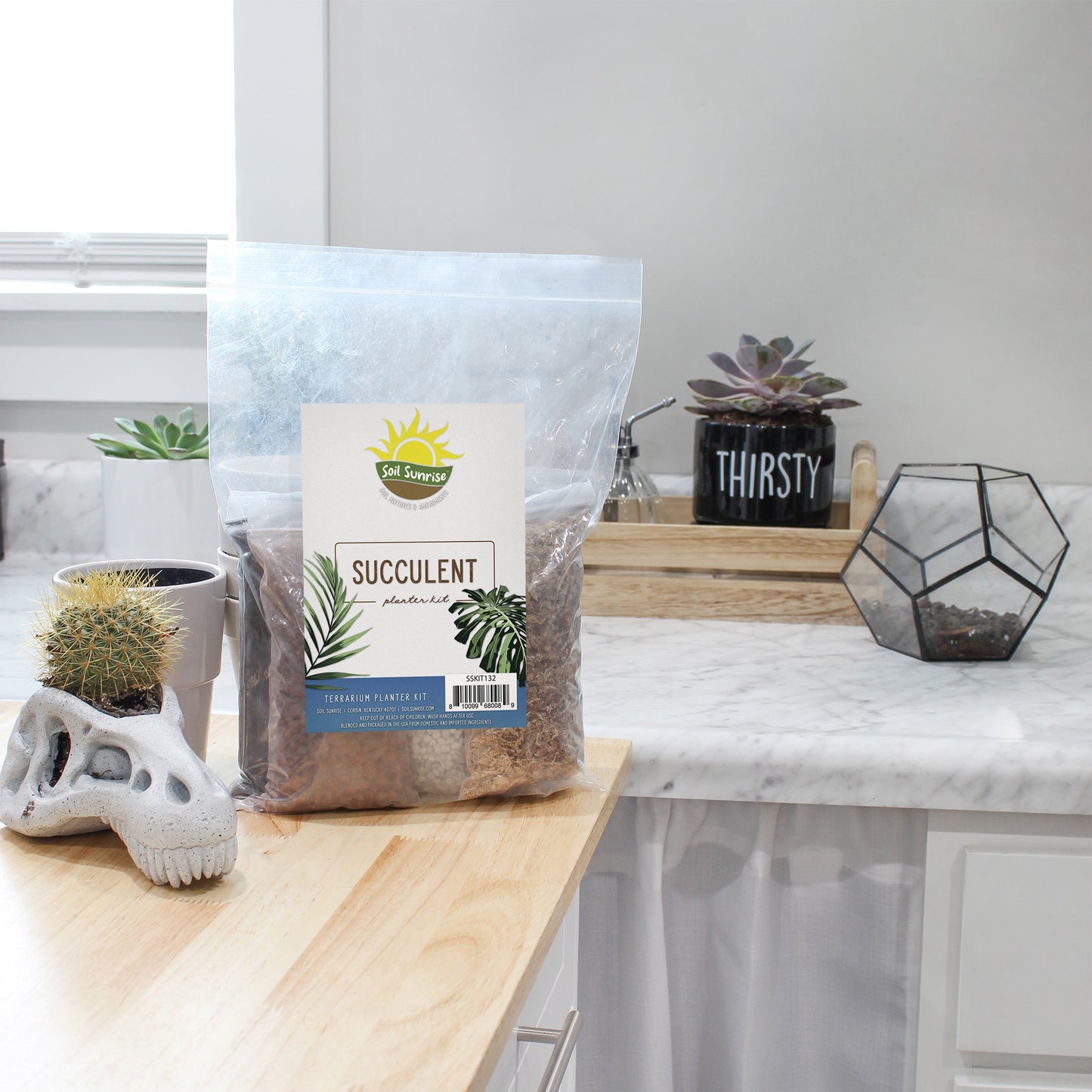 Succulent Terrarium Planter Kit - SSKIT132