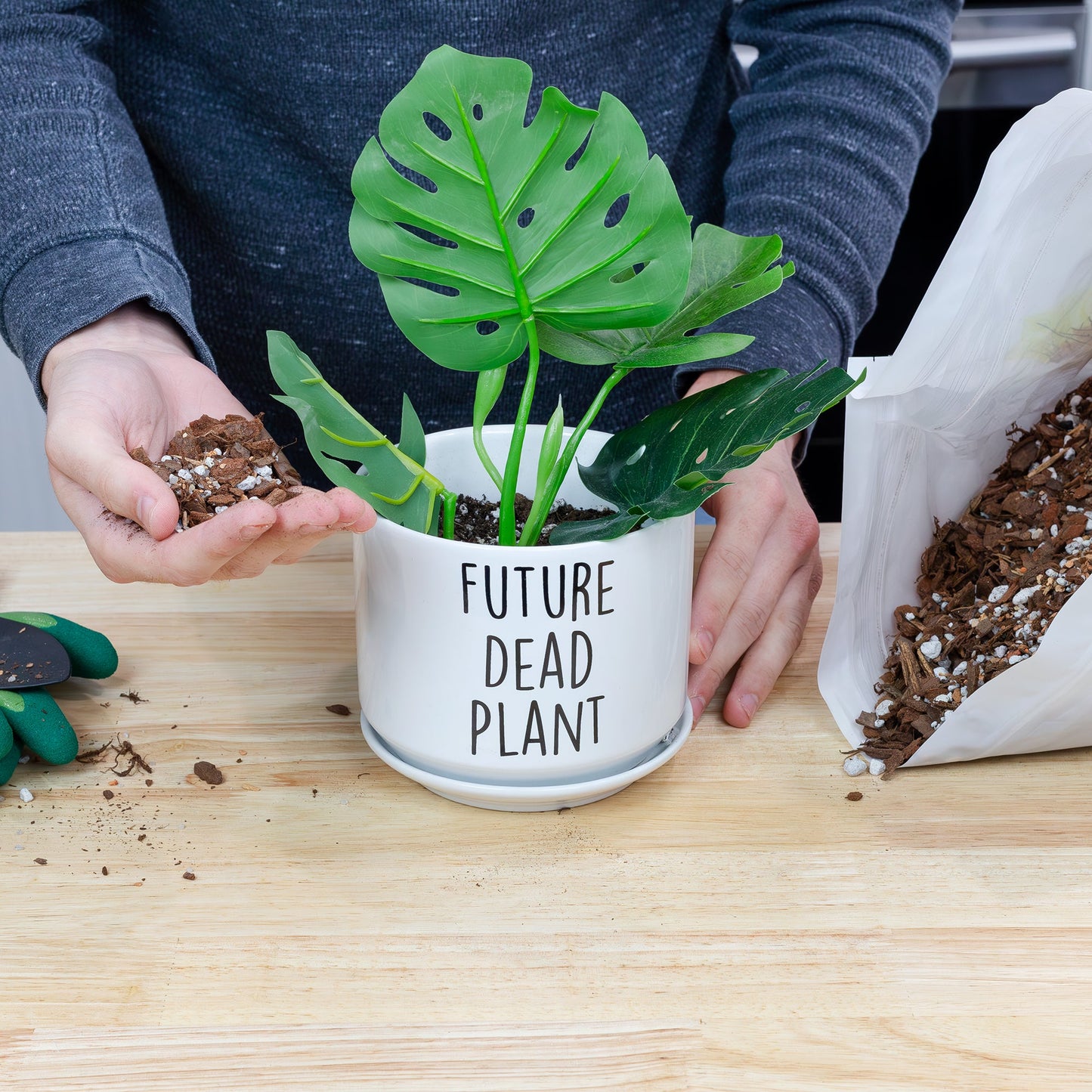 Cactus and Succulent Potting Mix (8 Quarts) - SSKIT024