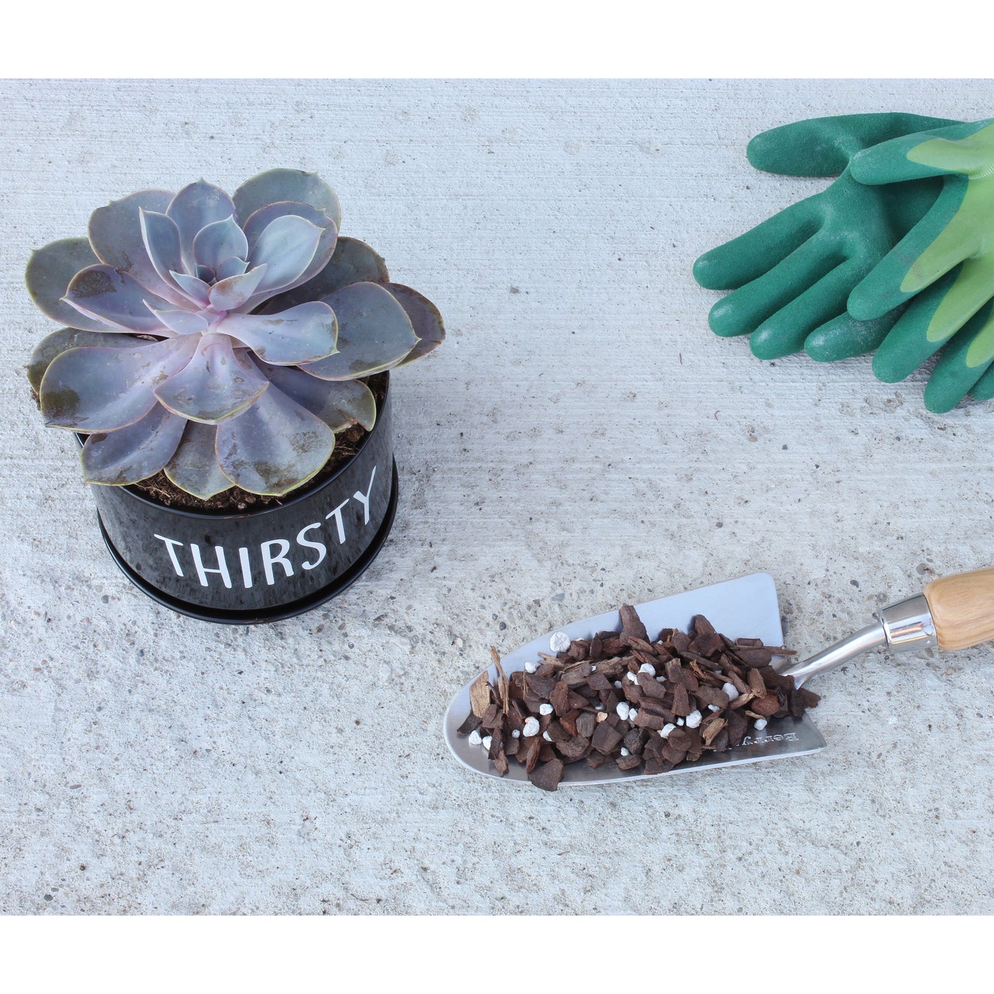 Cactus and Succulent Potting Mix (8 Quarts) - SSKIT024