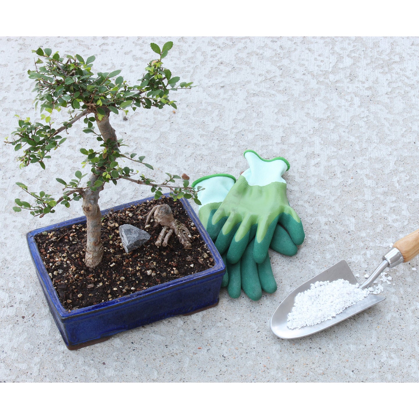 Horticultural Perlite Soil Amendment (4 Quarts) - SSKIT122