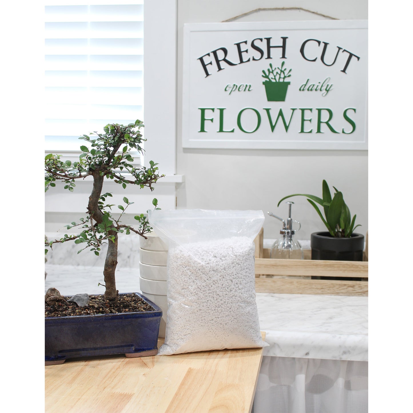 Horticultural Perlite Soil Amendment (4 Quarts) - SSKIT122