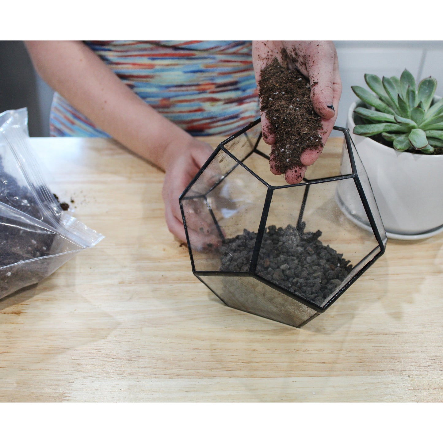 Succulent Potting Soil Mix (8 Quarts) - SSKIT118