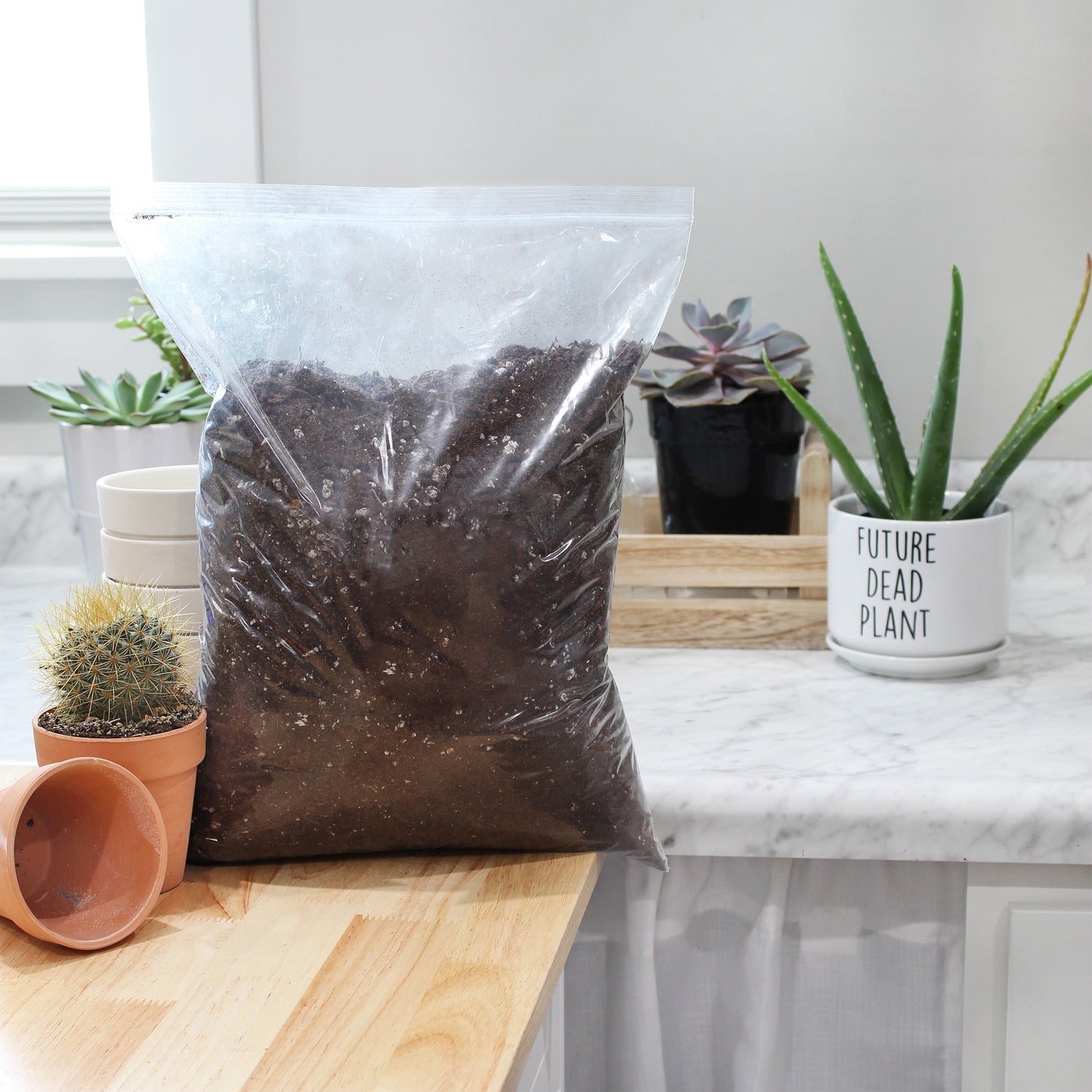 Succulent Potting Soil Mix (8 Quarts) - SSKIT118