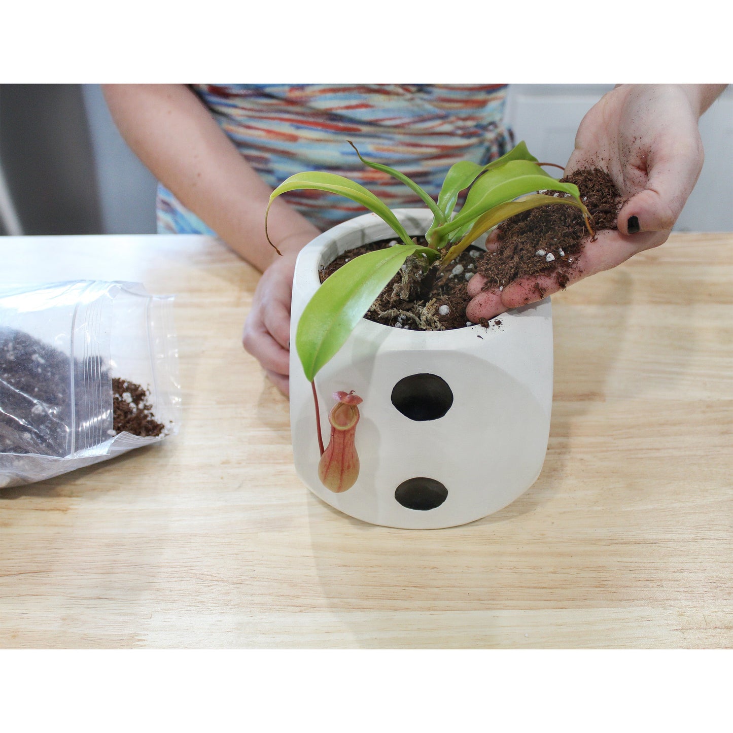 Pitcher Plant Potting Soil Mix (4 Quarts) - SSKIT184