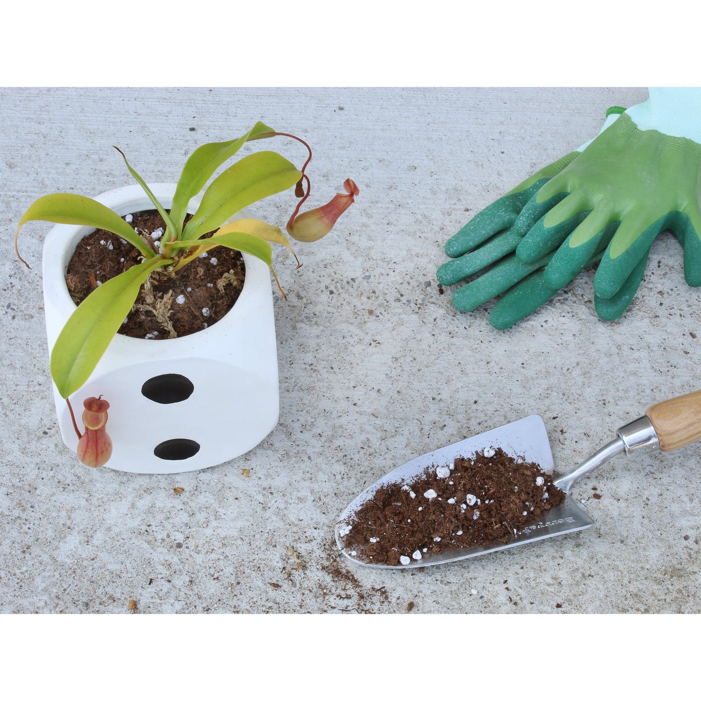 Pitcher Plant Potting Soil Mix (4 Quarts) - SSKIT184