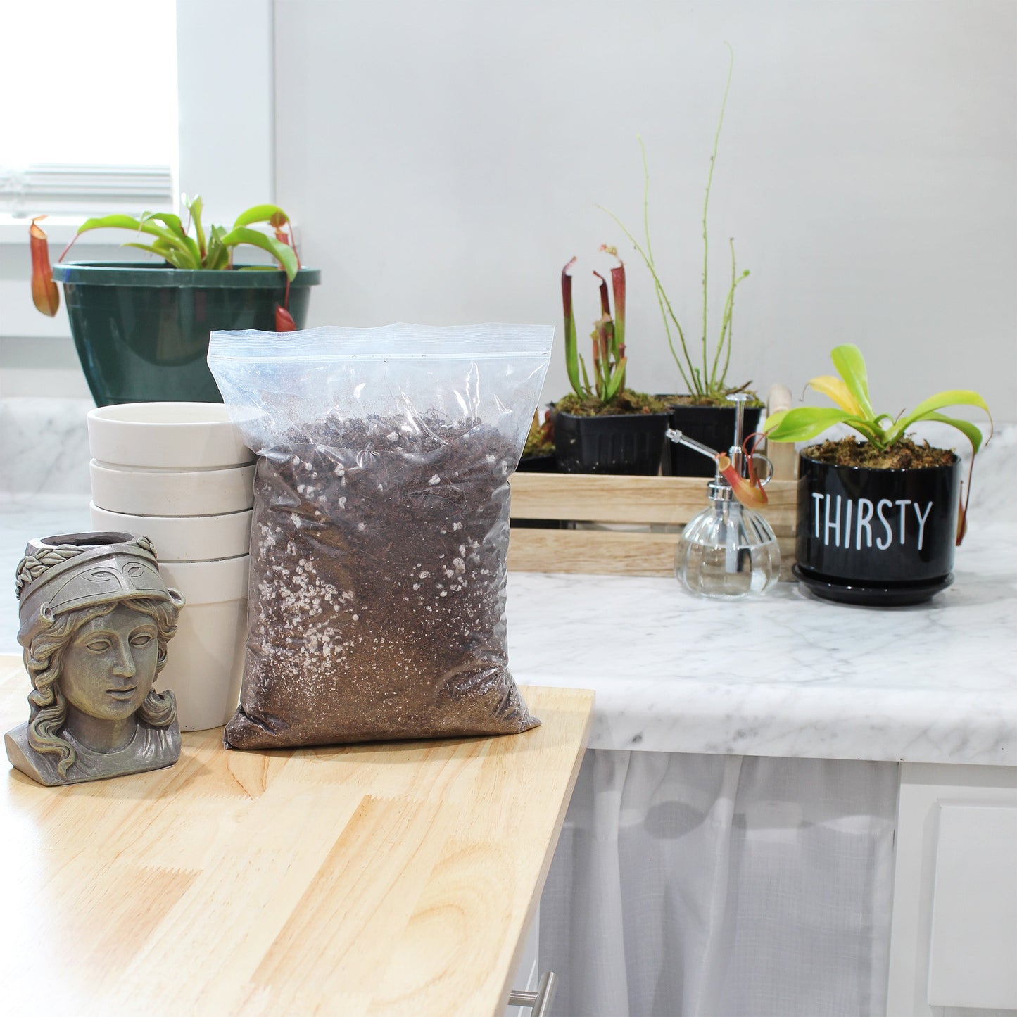 Pitcher Plant Potting Soil Mix (4 Quarts) - SSKIT184