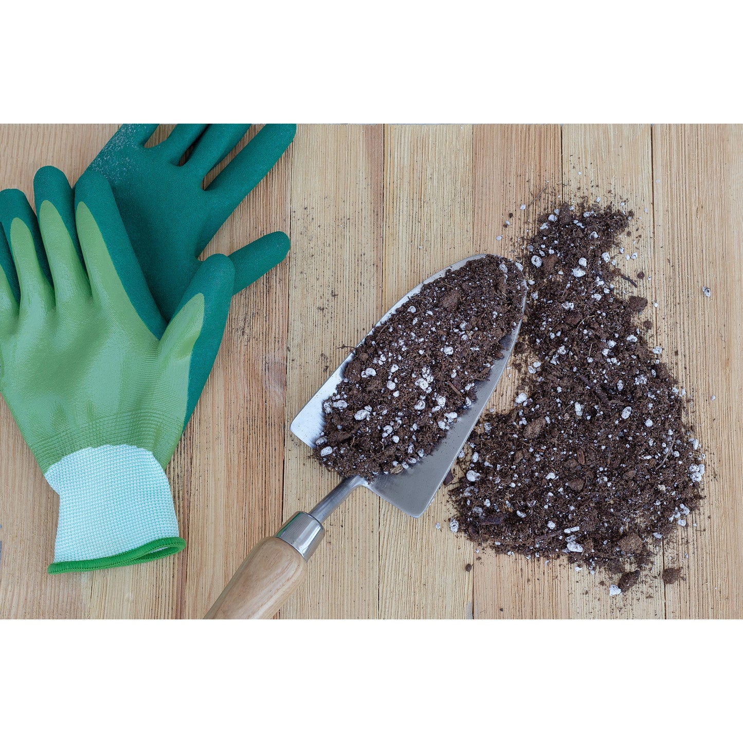 Kalanchoe Plant Potting Soil Mix