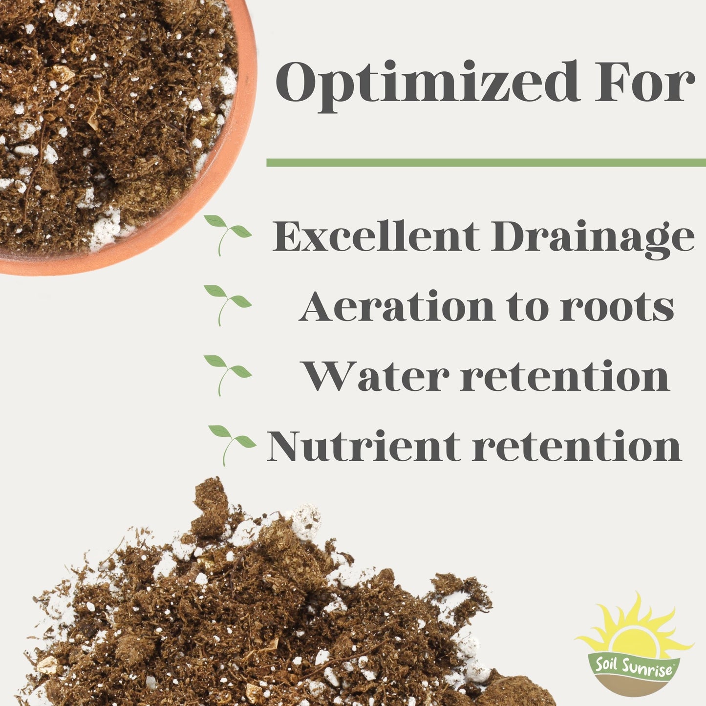 Kalanchoe Plant Potting Soil Mix