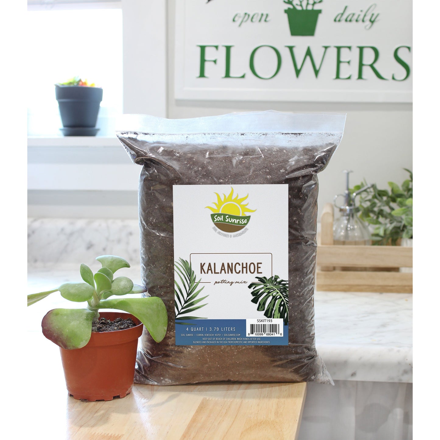 Kalanchoe Plant Potting Soil Mix