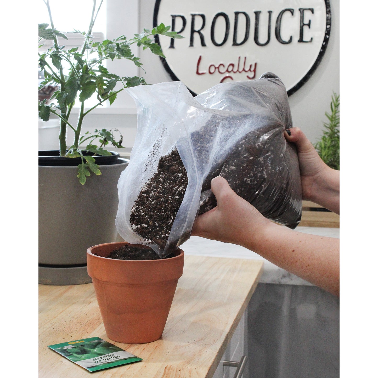 All Natural Seed Starting Mix (4 Quarts) - SSKIT197