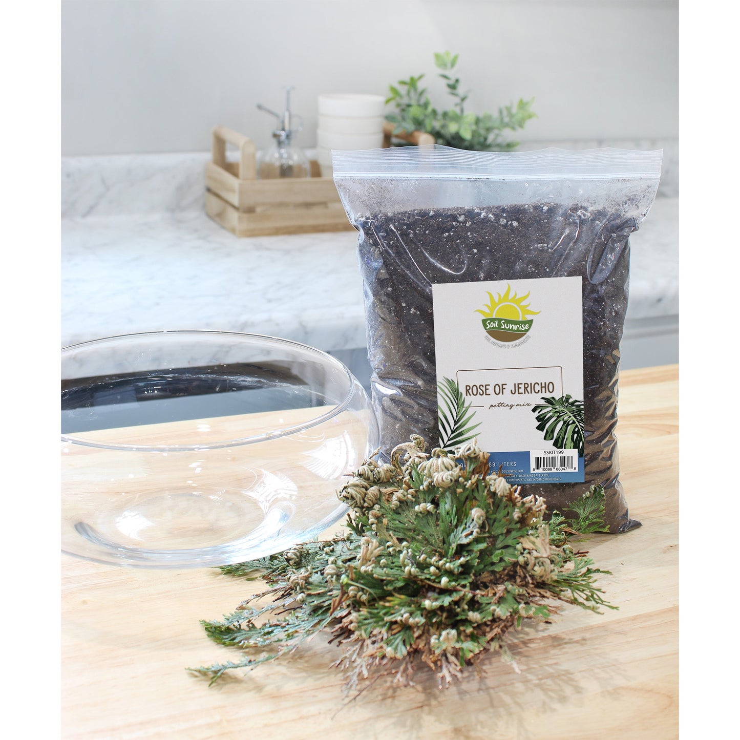 Rose of Jericho Potting Soil Mix (4 Quarts) - SSKIT200