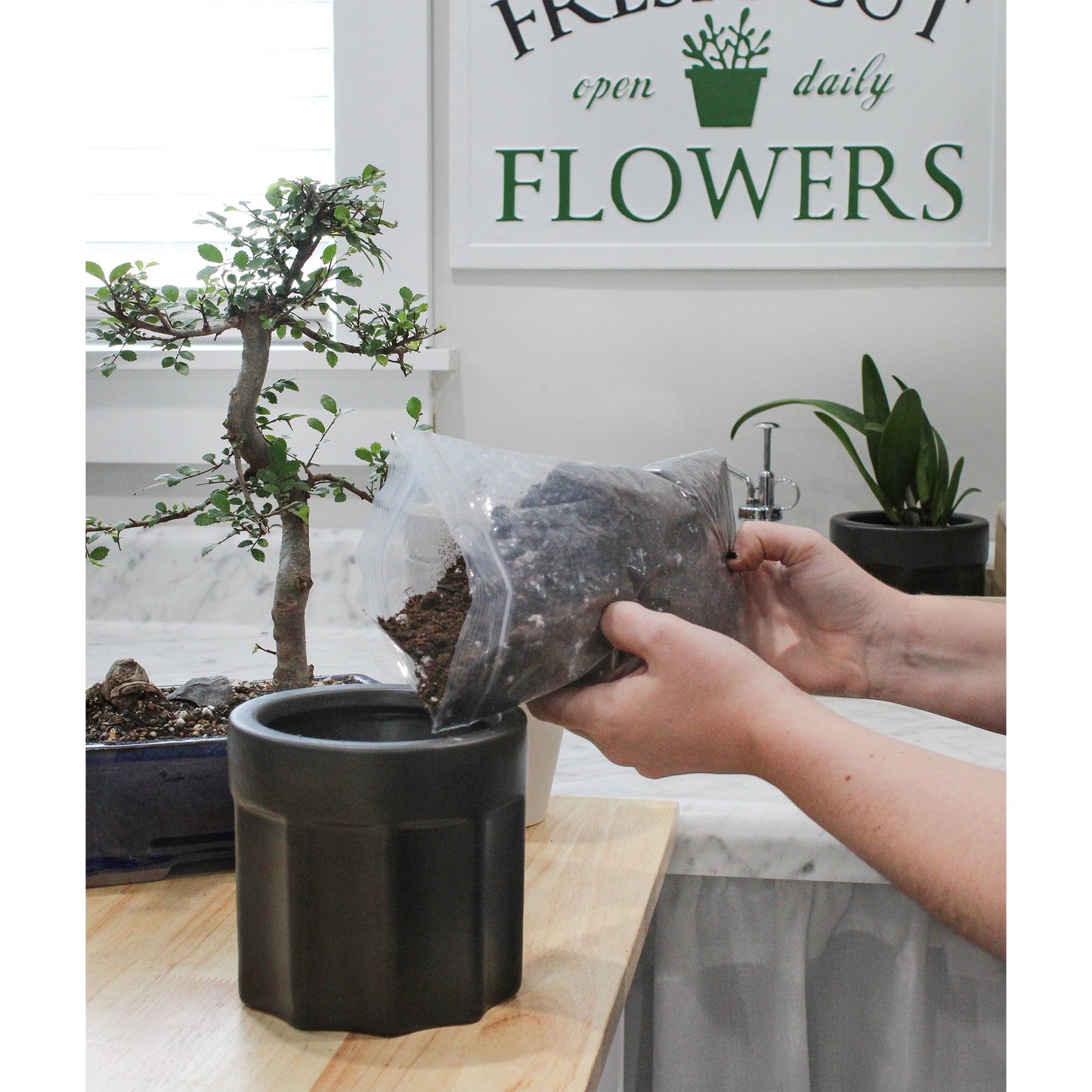 All-Purpose Bonsai Potting Mix (1 Quart) - SSKIT137