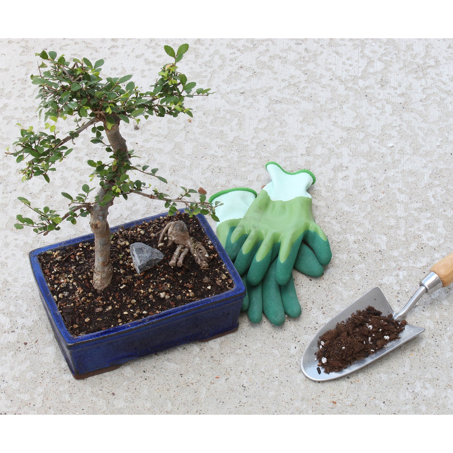 All-Purpose Bonsai Potting Mix (1 Quart) - SSKIT137