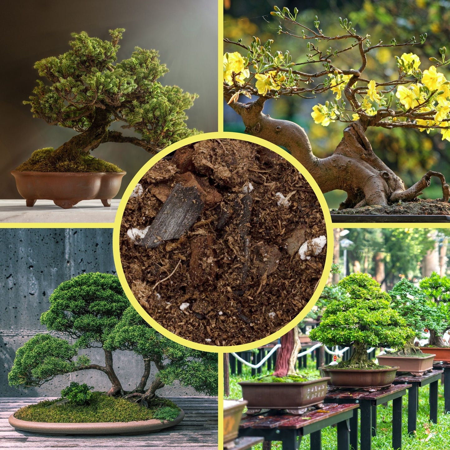 All-Purpose Bonsai Potting Mix (4 Quarts) - SSKIT138