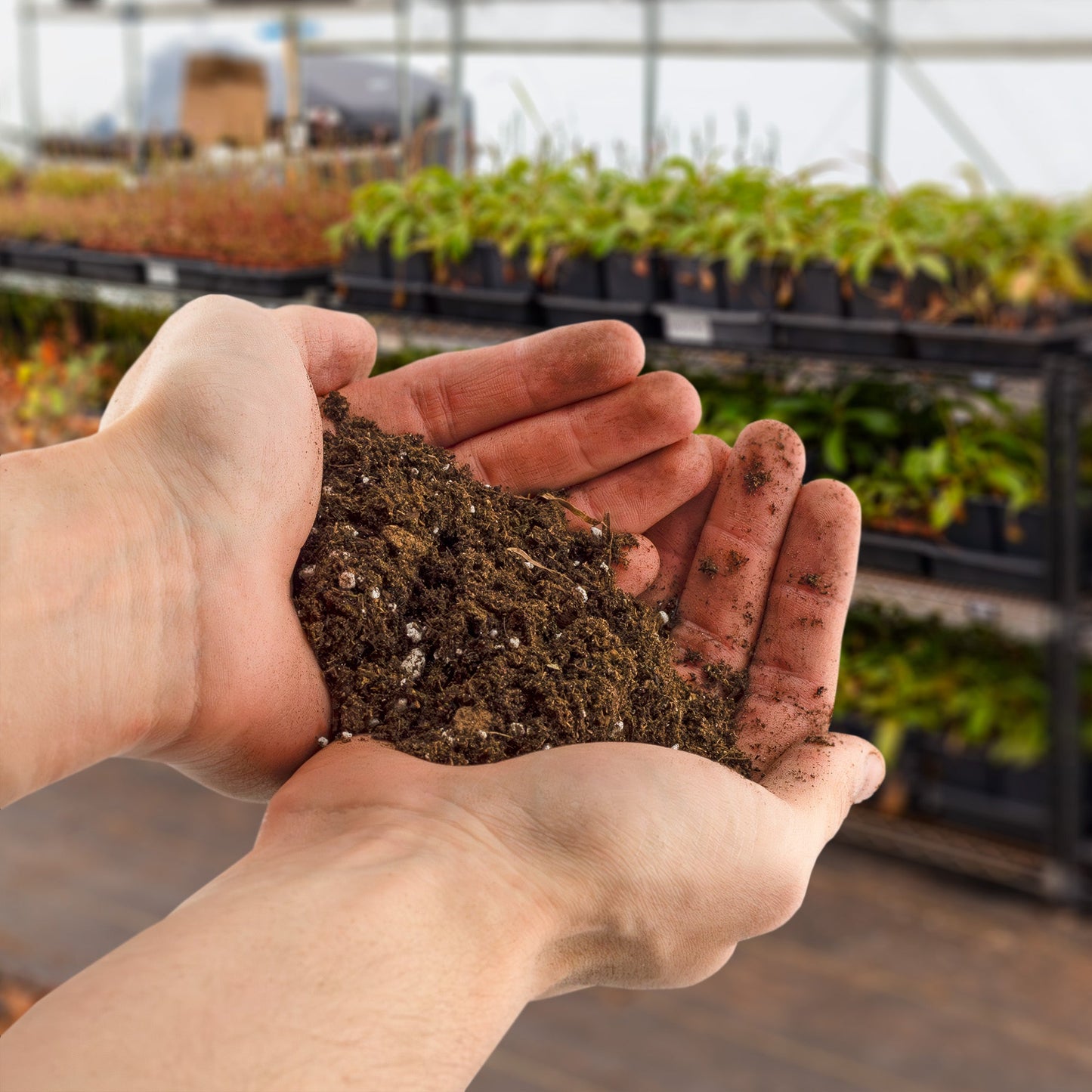 Money Tree Potting Soil Mix (8 Quarts) - SSKIT149