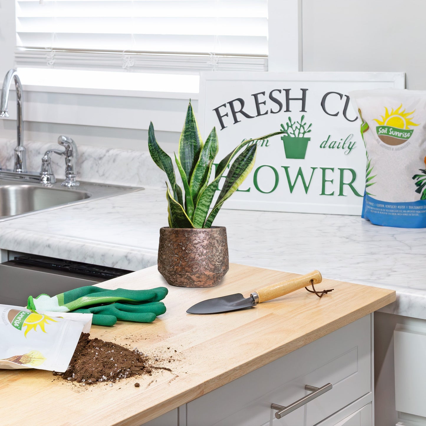 Snake Plant Potting Soil Mix (4 Quarts) - SSKIT151