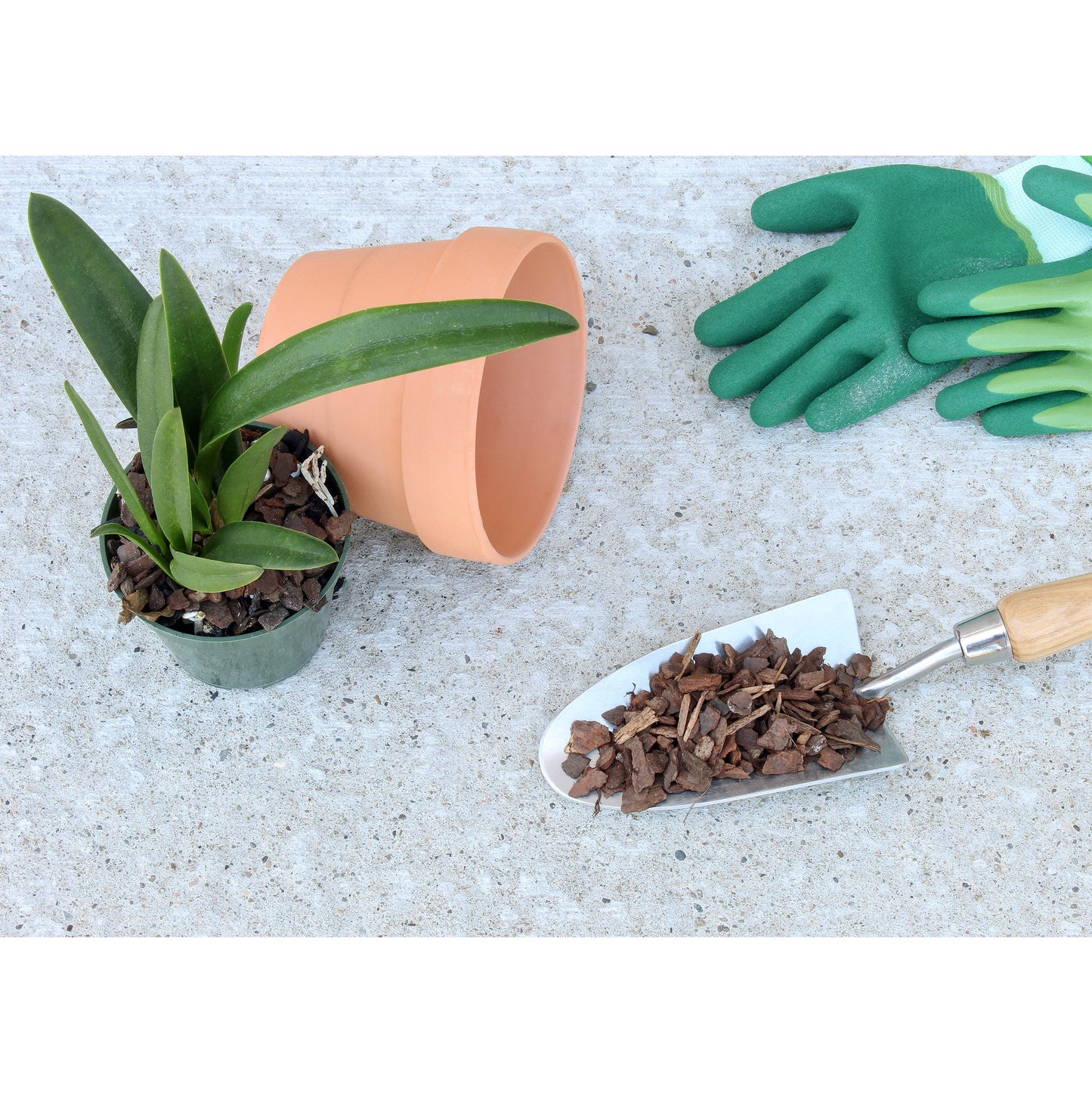 100% Organic Orchid Potting Bark (2 Quarts) - SSKIT163