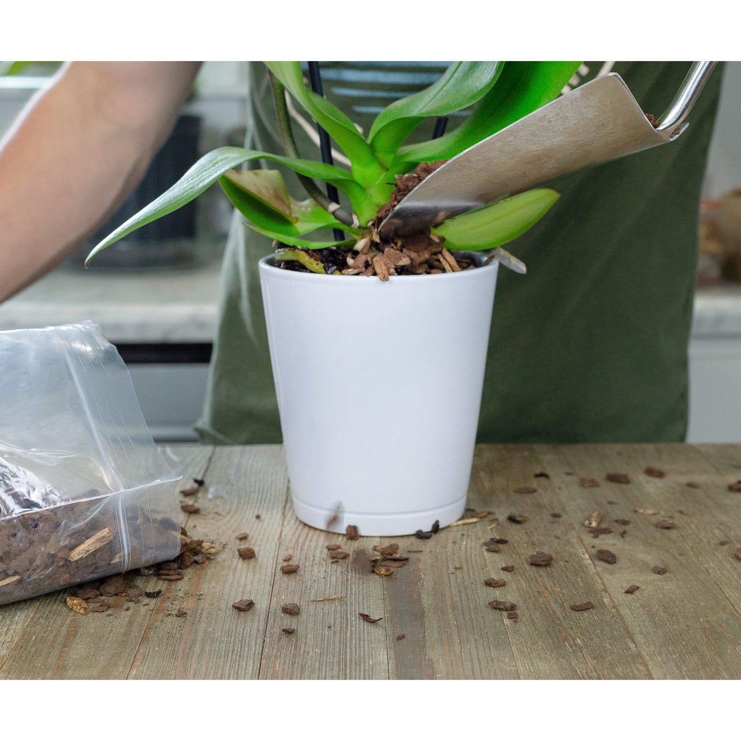 100% Organic Orchid Potting Bark (4 Quarts) - SSKIT164