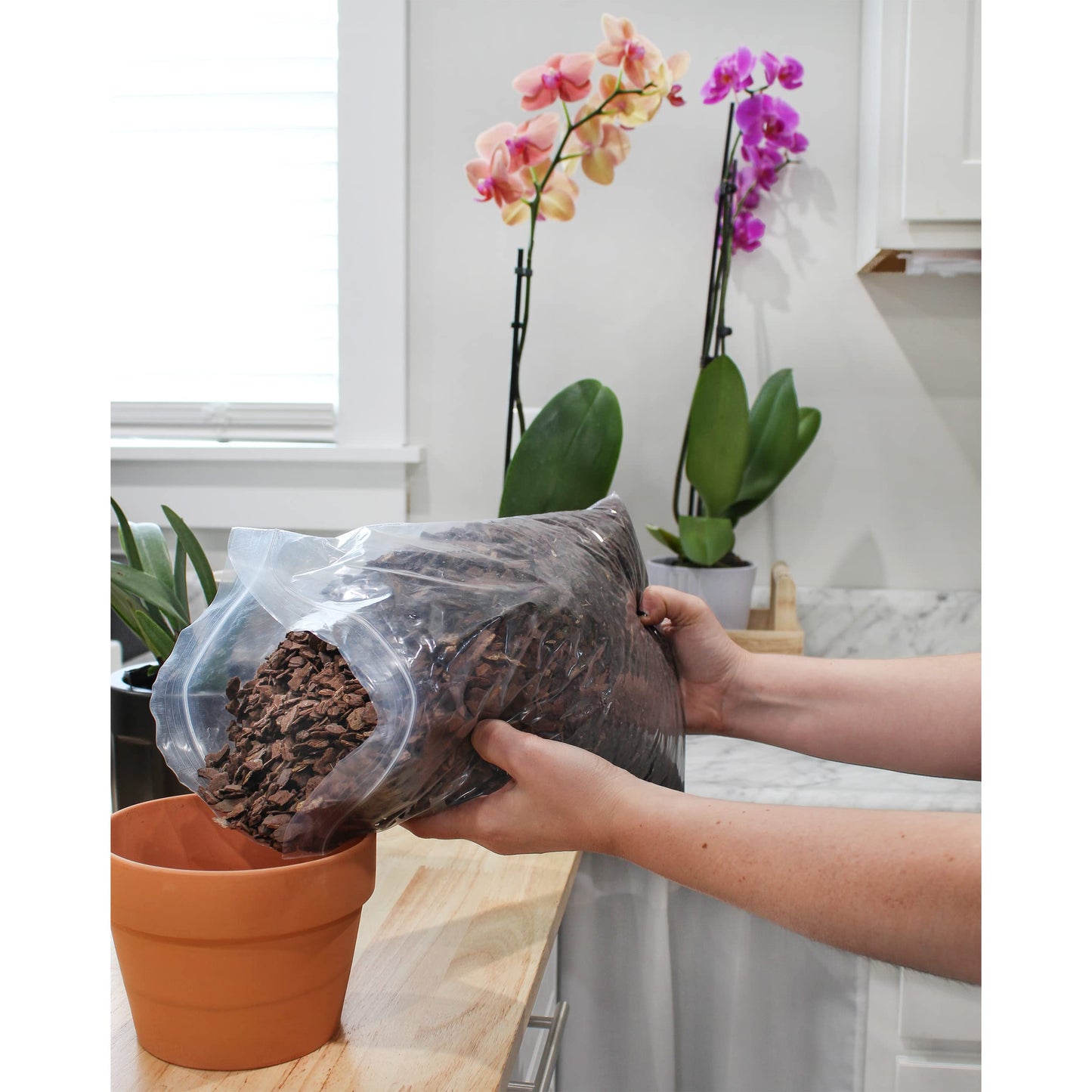 100% Organic Orchid Potting Bark (4 Quarts) - SSKIT164