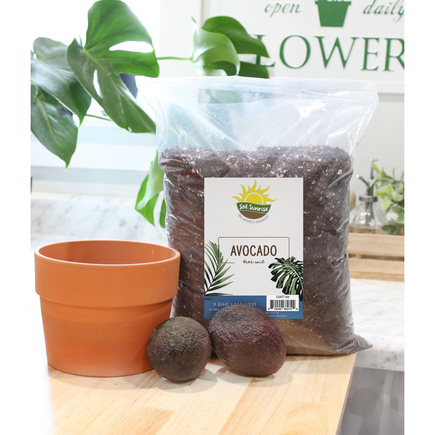 Avocado Tree Potting Soil Mix (8 Quarts) - SSKIT166