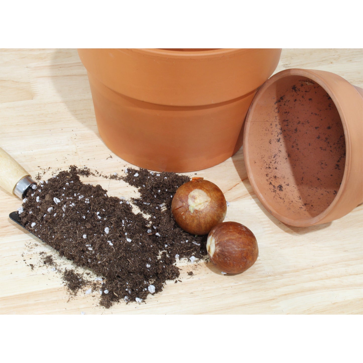 Avocado Tree Potting Soil Mix (8 Quarts) - SSKIT166