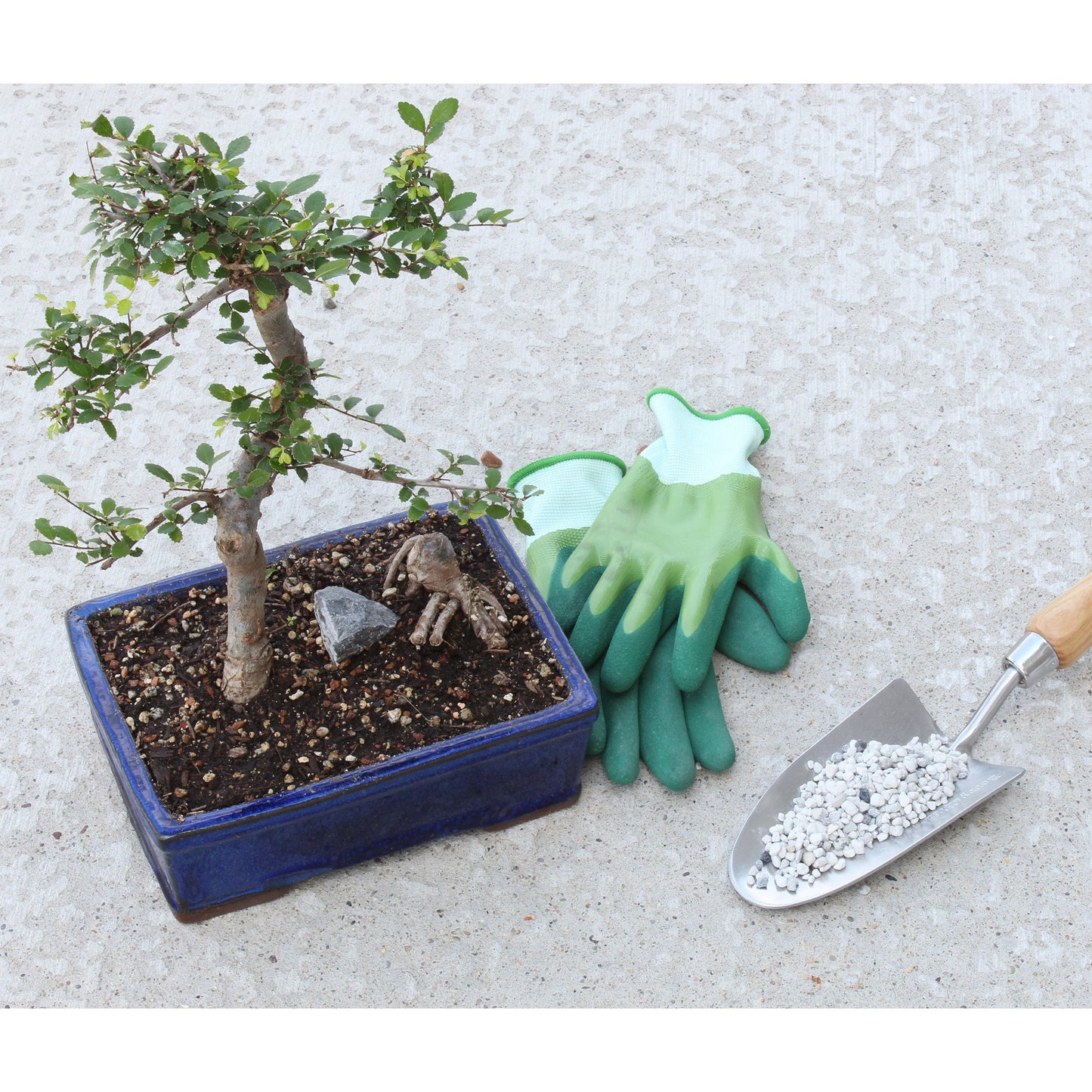 Horticultural Bonsai Pumice Soil Amendment (2 Quarts) - SSKIT167
